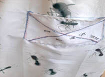 Afbeelding met ongewerveld dier, insect

Door AI gegenereerde inhoud is mogelijk onjuist.