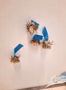 Afbeelding met Kinderkunst, muur, kunst, ontwerp

Door AI gegenereerde inhoud is mogelijk onjuist.