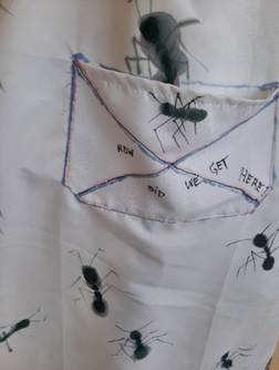 Afbeelding met ongewerveld dier, insect

Door AI gegenereerde inhoud is mogelijk onjuist.