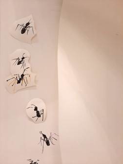 Afbeelding met ongewerveld dier, insect, geleedpotige, mier

Door AI gegenereerde inhoud is mogelijk onjuist.