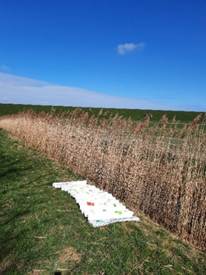 Afbeelding met buitenshuis, wolk, hemel, plant
Door AI gegenereerde inhoud is mogelijk onjuist.