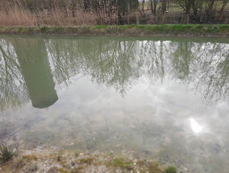 Afbeelding met buitenshuis, gras, boom, plant

Door AI gegenereerde inhoud is mogelijk onjuist.