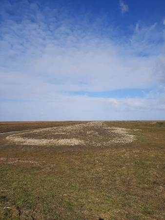 Afbeelding met gras, buitenshuis, wolk, hemel

Door AI gegenereerde inhoud is mogelijk onjuist.