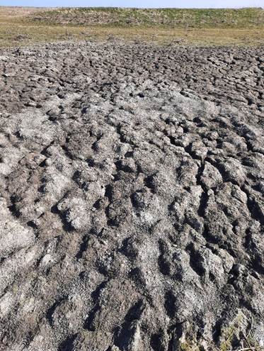 Afbeelding met buitenshuis, grond, hemel, veld

Door AI gegenereerde inhoud is mogelijk onjuist.