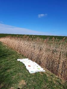 Afbeelding met buitenshuis, wolk, hemel, plant

Door AI gegenereerde inhoud is mogelijk onjuist.