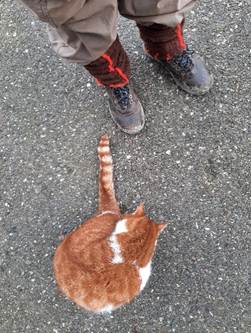 Afbeelding met schoeisel, grond, buitenshuis, persoon

Door AI gegenereerde inhoud is mogelijk onjuist.