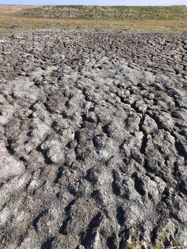 Afbeelding met buitenshuis, grond, hemel, veld

Door AI gegenereerde inhoud is mogelijk onjuist.